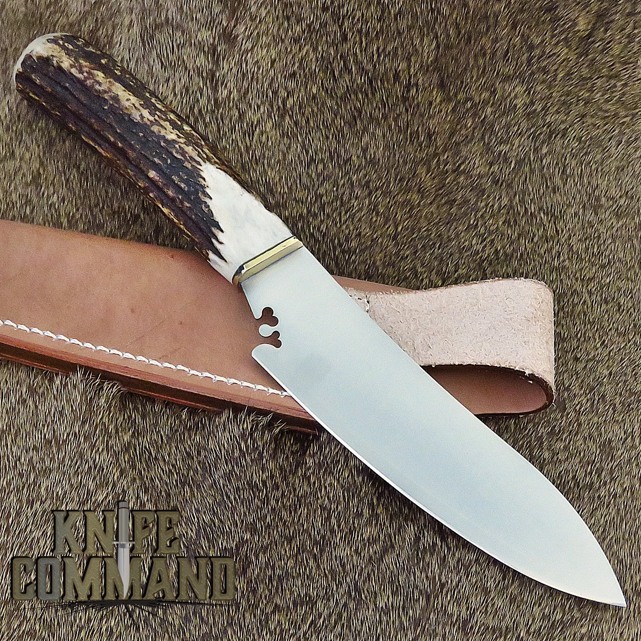 G Sakai Gaucho Facon Stag Fixed Blade Hunting Cowboy Knife 11306 4 G Sakai Gaucho Facon Stag Fixed Blade Hunting Cowboy Knife 11306 - Image 2